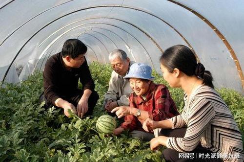古茗最牛吃瓜,揭秘网络热点的幕后故事